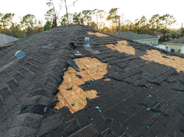 Best Metal Roofing Installation  in North Hornell, NY